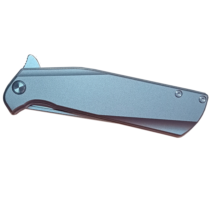 Folding knife Pocket Protector 95 - Alu