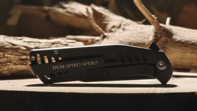 Folding knife 601 STERNUM - Night