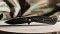 Folding knives 601 STERNUM