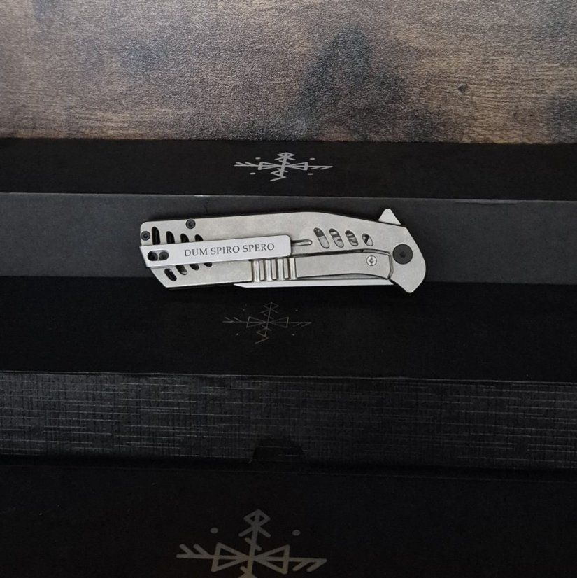 601 Sternum Day - Camo